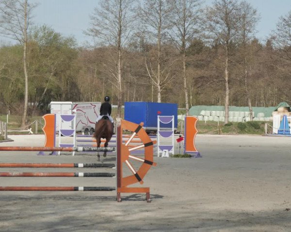 Reitturnier Handorf 2021