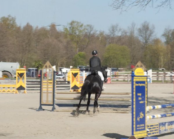Reitturnier Handorf 2021