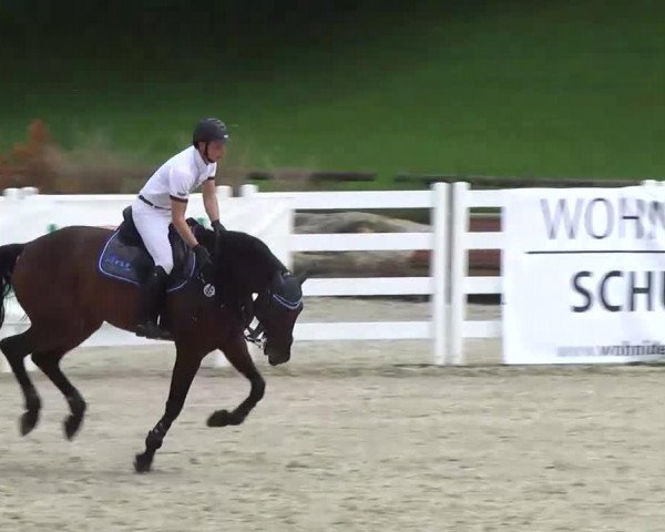 broodmare Leslie (Hanoverian, 1972, from Lugano I 3963)