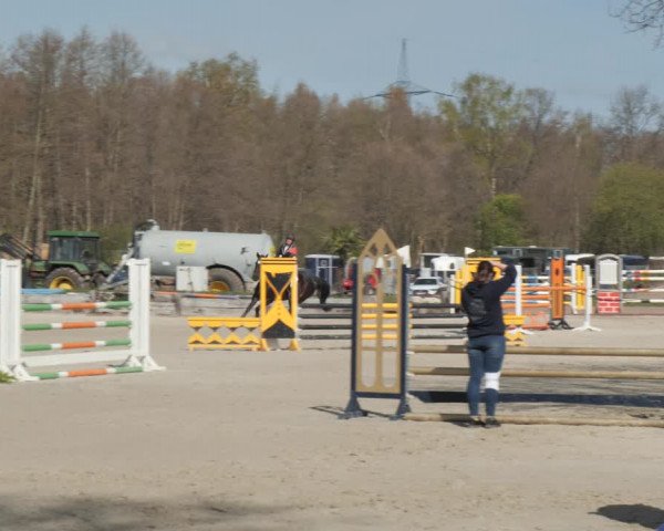 Reitturnier Handorf 2021