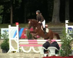 jumper Lucky Luke (Polish Warmblood, 1986)