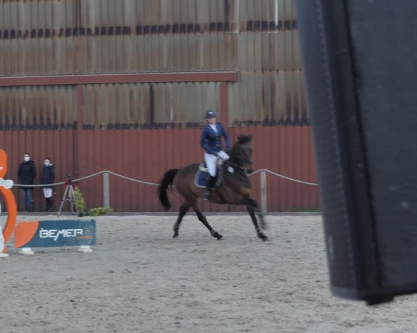 Reitturnier Handorf 2021