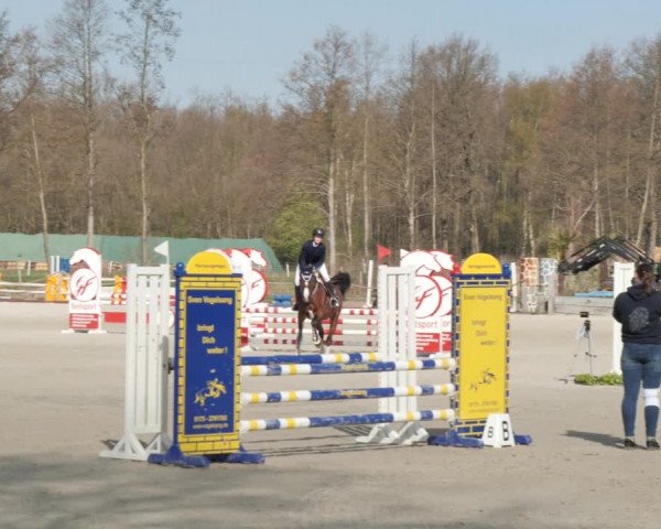 Reitturnier Handorf 2021