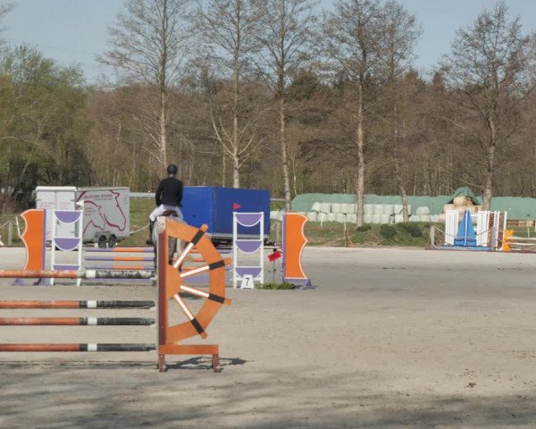 Reitturnier Handorf 2021