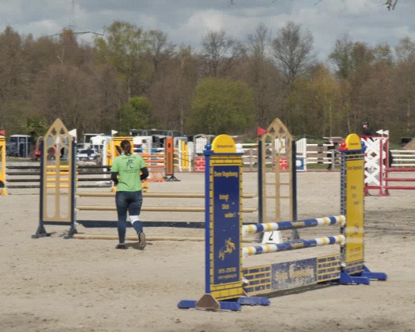 Reitturnier Handorf 2021