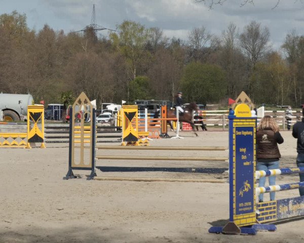 Reitturnier Handorf 2021