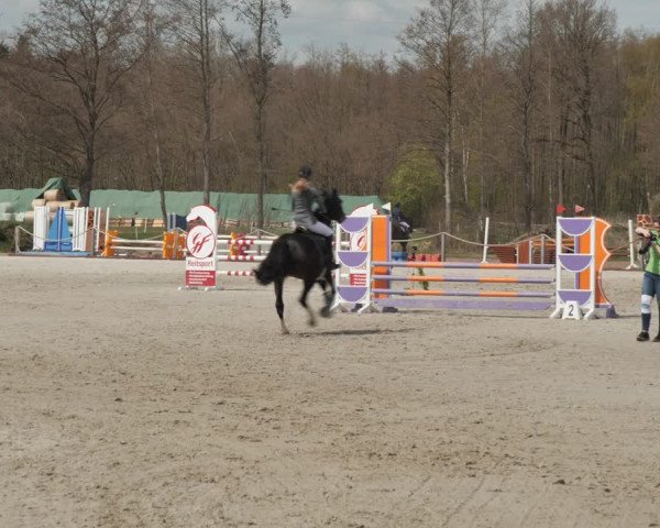 Reitturnier Handorf 2021