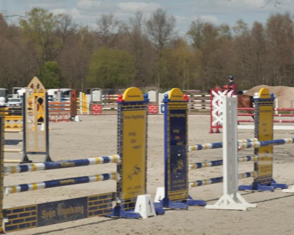 Reitturnier Handorf 2021