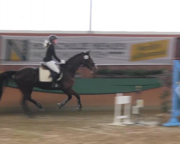 dressage horse Randi's Zukunft (Westphalian, 2003, from Rilke)