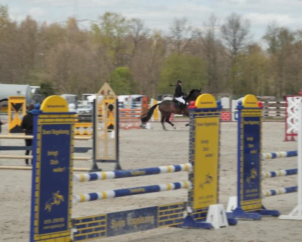 Reitturnier Handorf 2021