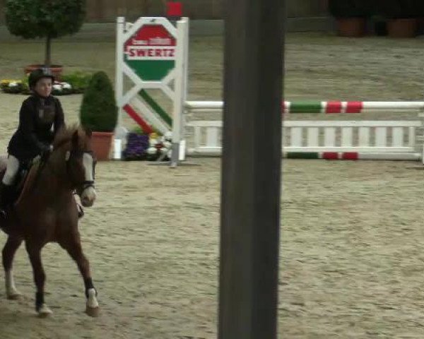 dressage horse Gismo 183 (Hanoverian, 1996, from Granulit)