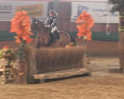 broodmare Lesley 42 (Pony without race description, 1995, from Poldy)