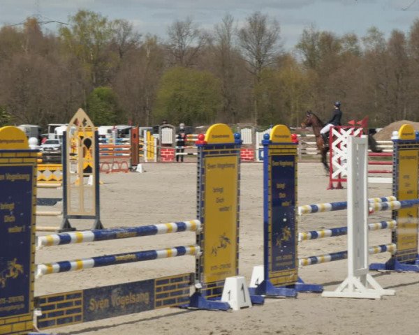 Reitturnier Handorf 2021