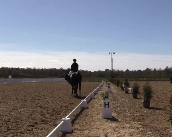 Reitturnier Bremervörde/Reitsportzentrum 2021