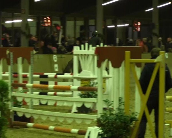 jumper Ruby 123 (Oldenburg, 2005, from Rosario 37)