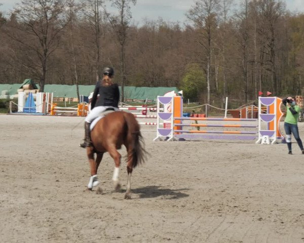 Reitturnier Handorf 2021