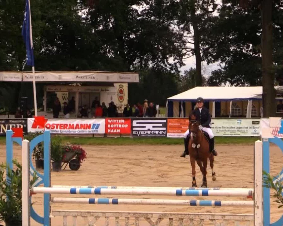 Dressurpferd Cantaro 48 (Westfale, 2005, von Charming 8)