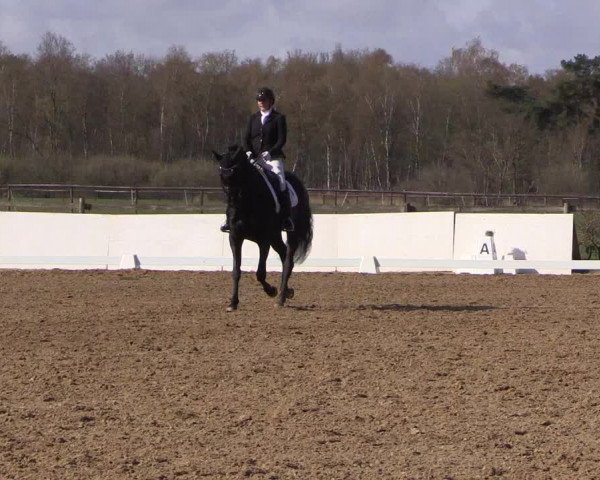 Reitturnier Bremervörde/Reitsportzentrum 2021