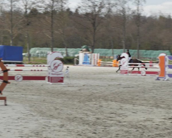 Reitturnier Handorf 2021