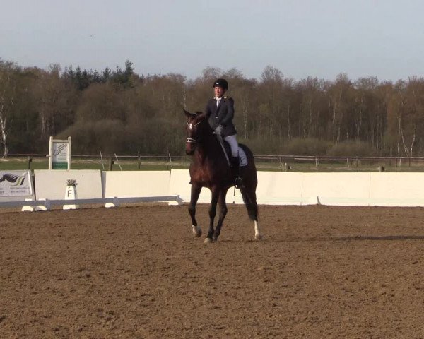 Reitturnier Bremervörde/Reitsportzentrum 2021