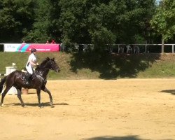 broodmare Delphi 47 (Hanoverian, 2005, from Dauphin)