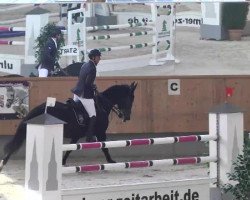 broodmare Schweizer Hof's Mafia (Bavarian, 2005, from Da Lisco)