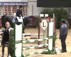 Caballo de salto Annie's Jungle Princess (Hannoveriano, 1998, de A Jungle Prince)
