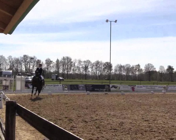 Reitturnier Bremervörde/Reitsportzentrum 2021
