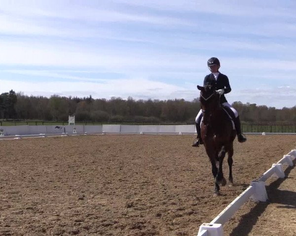 Reitturnier Bremervörde/Reitsportzentrum 2021