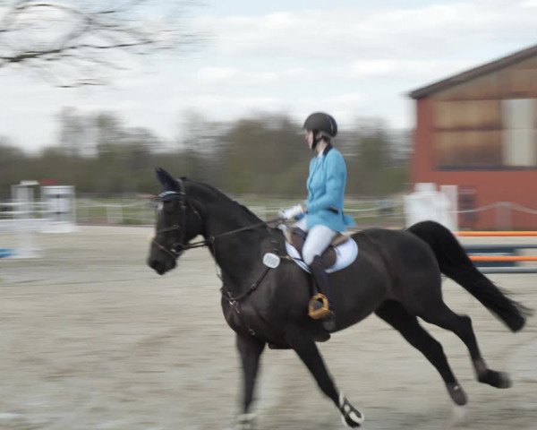 Reitturnier Handorf 2021