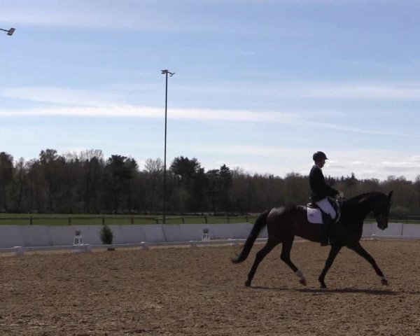 Reitturnier Bremervörde/Reitsportzentrum 2021