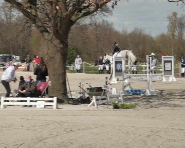 Reitturnier Handorf 2021