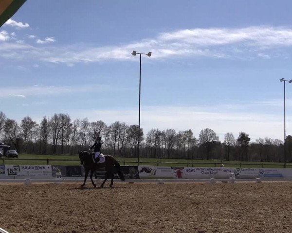 Reitturnier Bremervörde/Reitsportzentrum 2021