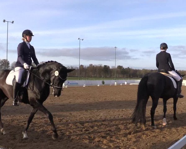 Reitturnier Bremervörde/Reitsportzentrum 2021