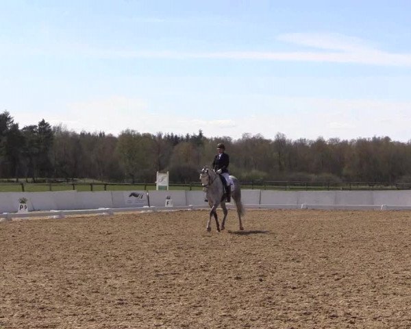 Reitturnier Bremervörde/Reitsportzentrum 2021