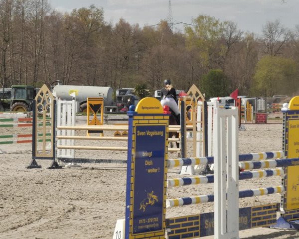 Reitturnier Handorf 2021