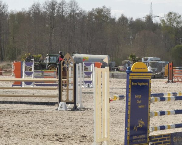 Reitturnier Handorf 2021
