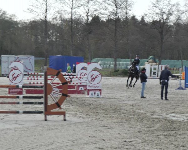 Reitturnier Handorf 2021