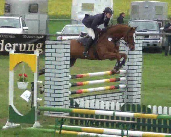 jumper Velten's H (Mecklenburg, 2004, from Venu du Theil)