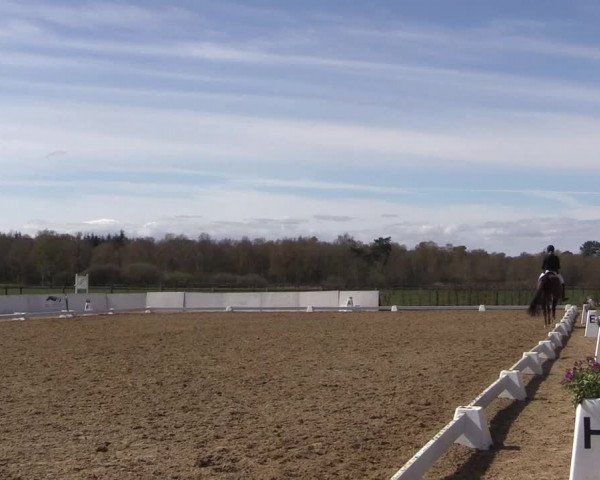 Reitturnier Bremervörde/Reitsportzentrum 2021