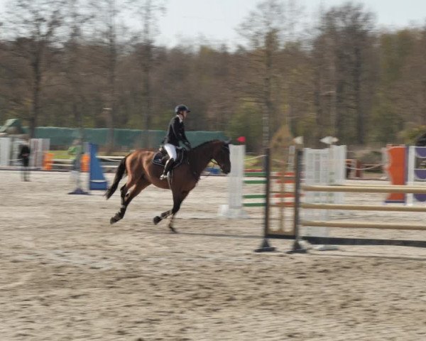Reitturnier Handorf 2021
