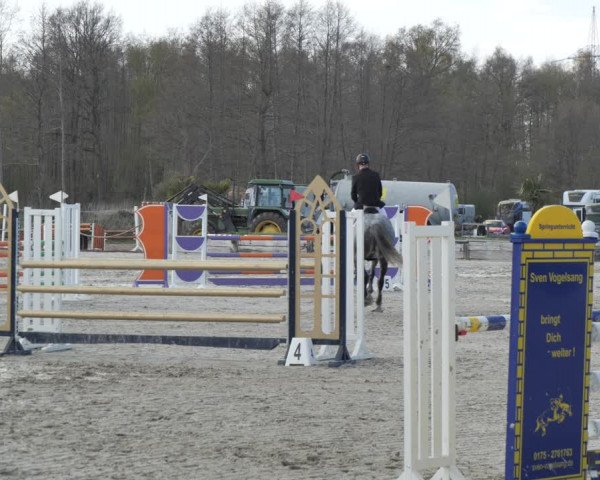 Reitturnier Handorf 2021