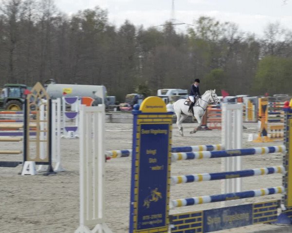 Reitturnier Handorf 2021