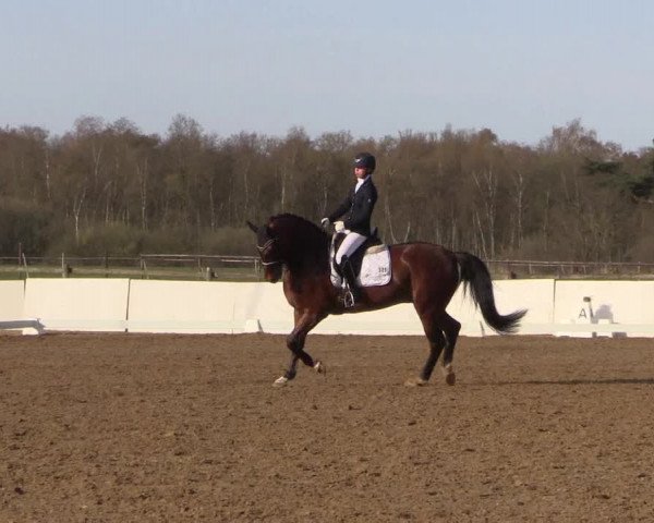 Reitturnier Bremervörde/Reitsportzentrum 2021