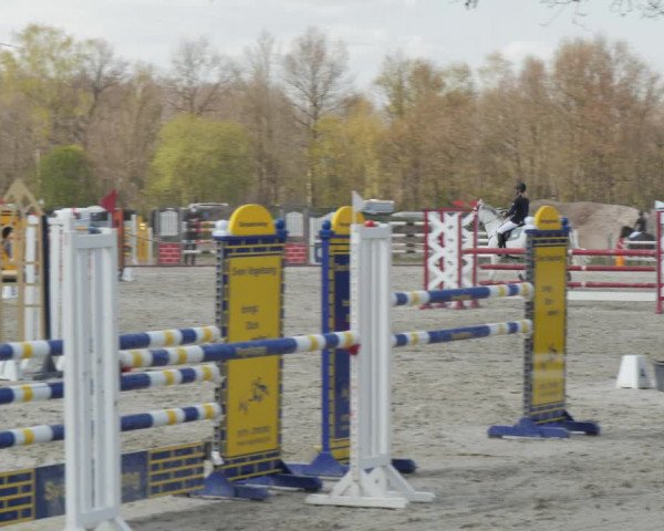 Reitturnier Handorf 2021