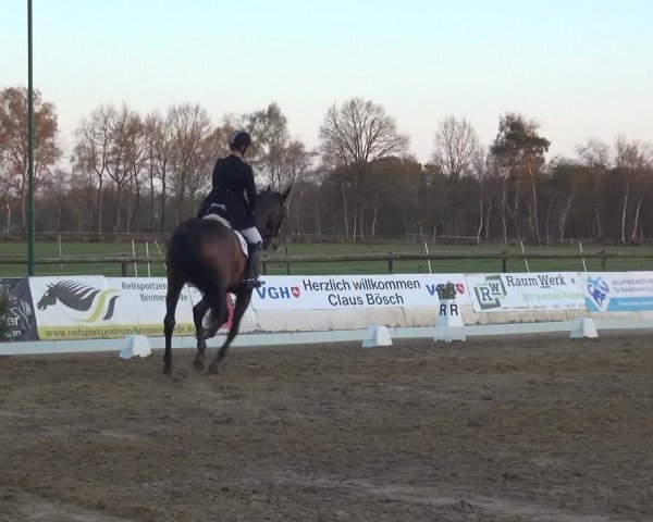 Reitturnier Bremervörde/Reitsportzentrum 2021