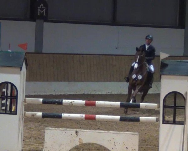 broodmare PK Halle Berry (Hanoverian, 2005, from His Highness)
