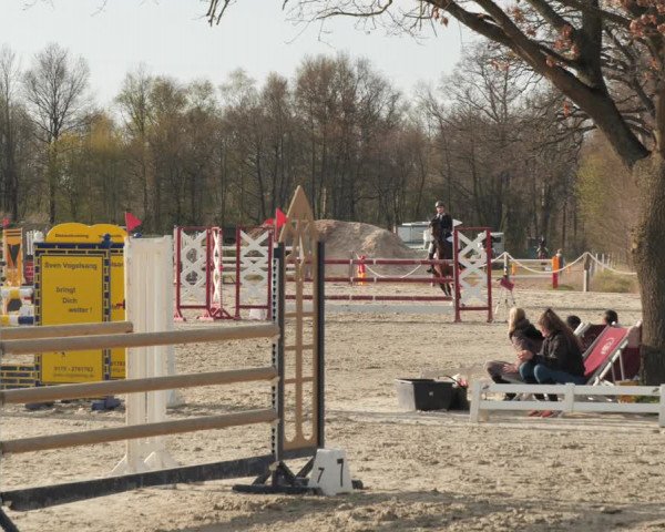 Reitturnier Handorf 2021