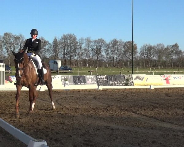 Reitturnier Bremervörde/Reitsportzentrum 2021