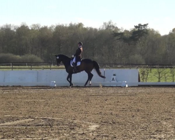 Reitturnier Bremervörde/Reitsportzentrum 2021